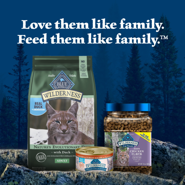 Blue Buffalo Wilderness Natural High-Protein, Grain-Free Dry Cat Food, Duck - Image 2