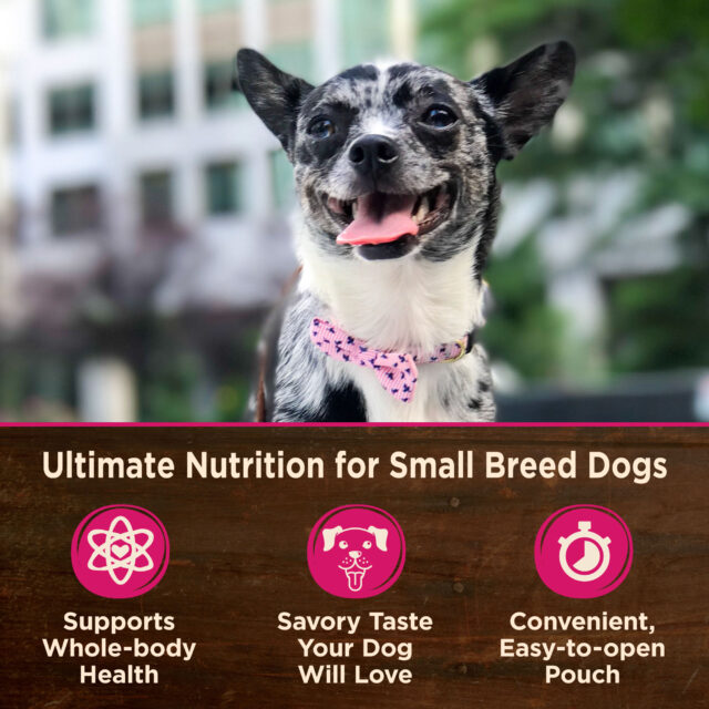 Wellness CORE Natural Grain Free Small Breed Mini Meals Wet Dog Food, Shredded Chicken & Lamb Entrée in Gravy, 3-Ounce Pouch (Pack of 12) - Image 7