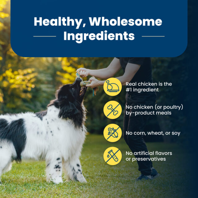 Blue Buffalo Life Protection Formula Adult Healthy Weight Dry Dog Food 5 lbs. - Image 4