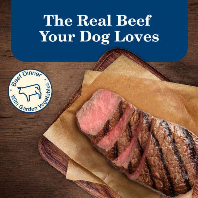 Blue Buffalo Homestyle Recipe Adult Wet Dog Food, Beef Dinner - Image 9