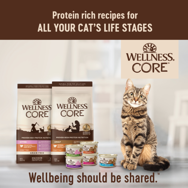 Wellness CORE Grain-Free Kitten Formula Dry Cat Food, 5 Pound Bag - Image 2