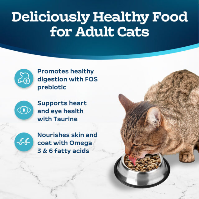 Blue Buffalo Sensitive Stomach Natural Adult Dry Cat Food, Chicken & Brown Rice, 5-lb - Image 5