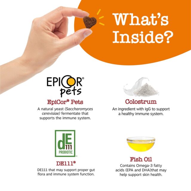 Zesty Paws Immune System Ancient Elements Aller-Immune Bites for Dogs, Allergy Relief and Supports Immune Function, Gut Health & Sensitive Skin, Bison Flavor, 90 Count Soft Chews - Image 3