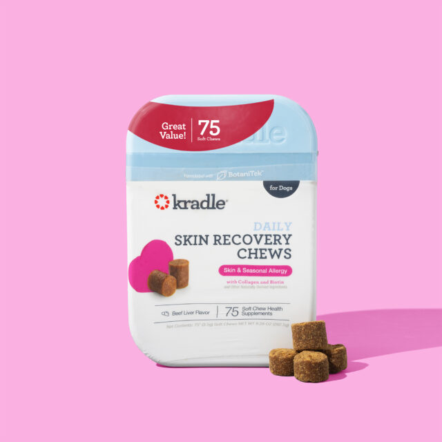 Kradle Calming Skin Recovery Soft Chews Dog Skin & Coat Support, Beef Liver Flavor, 75 Count