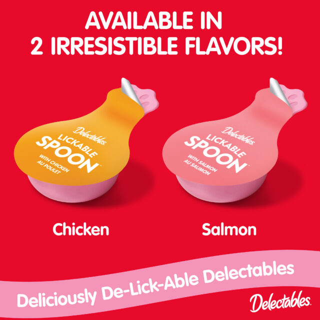 Hartz Delectables Lickable Spoon, Interactive Lickable Cat Treats for Quick & Easy Bonding, Salmon 32ct - Image 7