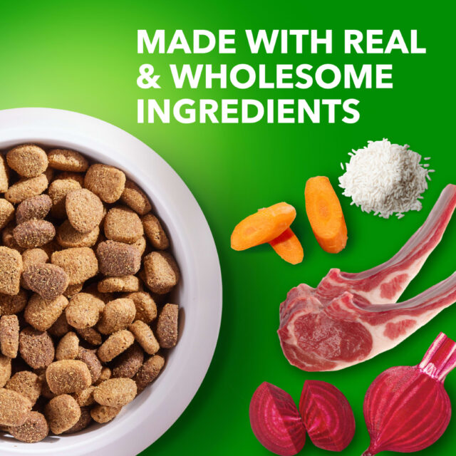 Iams Proactive Health Large Breed Adult Dry Dog Food Lamb & Rice Recipe, 40 Lb. Bag - Image 4