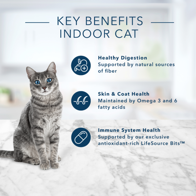 Blue Buffalo Tastefuls Adult Dry Cat Food for Indoor Cats, Salmon Recipe - Image 4
