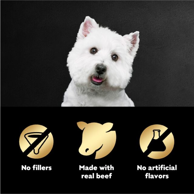 Cesar Pouch Filets In Gravy Filet Mignon Flavor Wet Dog Food, 1.76 oz. Pouch, 1 ct - Image 5