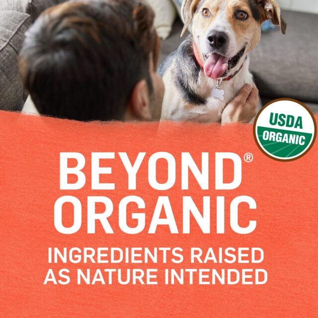 Purina Beyond Organic Wet Dog Food Ground Entree in Broth, Chicken & Vegetables, 13 oz Cans (6 Pack) - Image 7