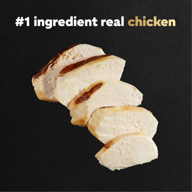 Cesar Pouch Filets In Gravy Wood-Grilled Chicken Wet Dog Food, 1.76 oz. Pouch, 1 ct - Image 4
