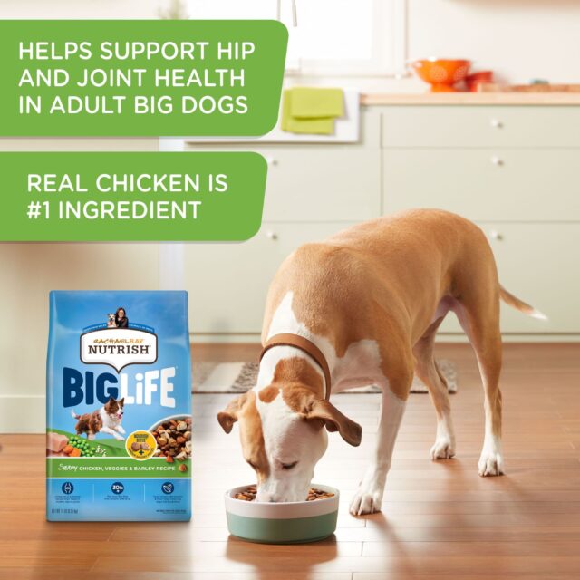 Rachael Ray Nutrish Big Life Savory Chicken, Veggies & Barley Recipe Dry Dog Food, 14 lb. Bag - Image 5