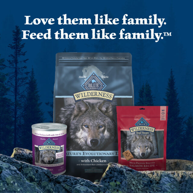 Blue Buffalo Wilderness Adult High-Protein Dry Dog Food, Chicken Plus Wholesome Grains, 4.5-lb. Bag - Image 2