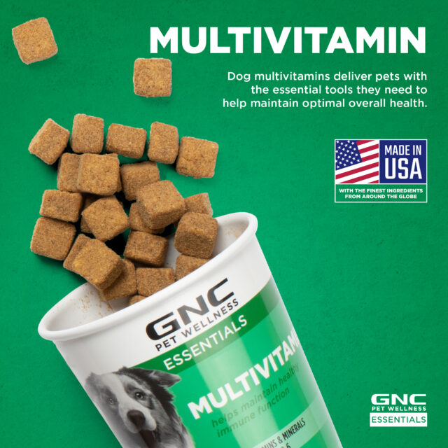 GNC Pet Wellness Essentials Dog Multivitamin Supplement for Healthy Immune System, Soft Chews - Image 9