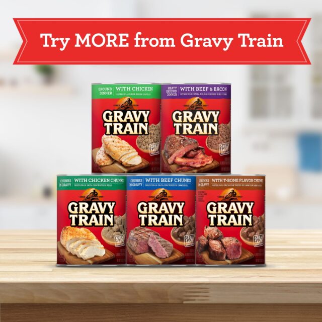 Gravy Train Beefy Classic Dry Dog Food, 14 Lb. Bag - Image 4
