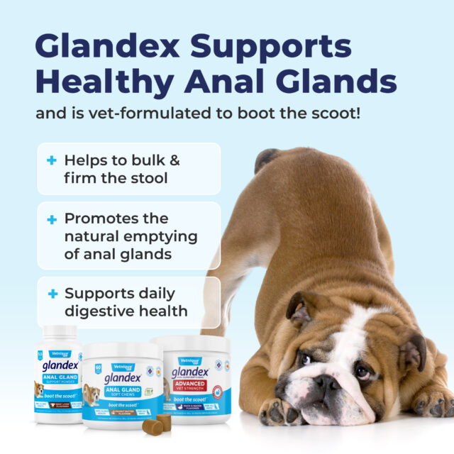 Vetnique Labs Glandex Anal Gland Soft Chews, Peanut Butter Flavored, for Dogs, 40 Count - Image 5
