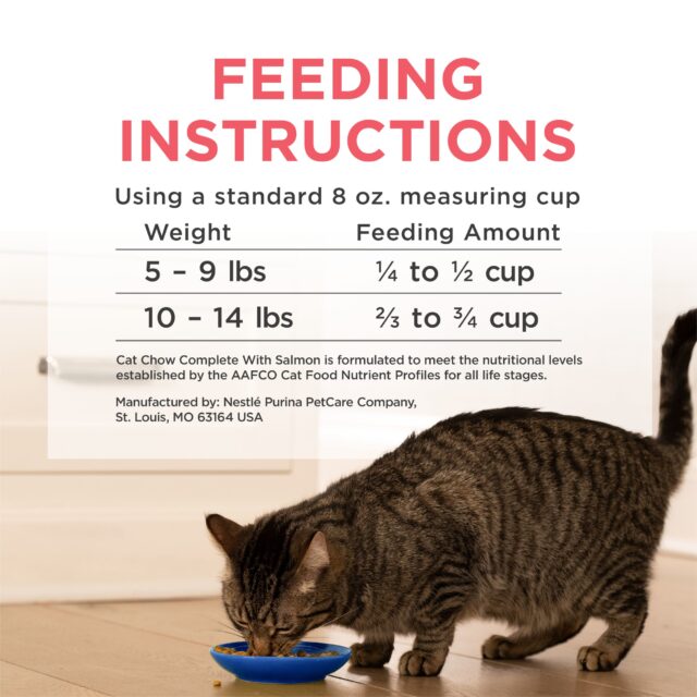 Purina Cat Chow Complete, Dry Cat Food, Salmon, 15 lb Bag - Image 2