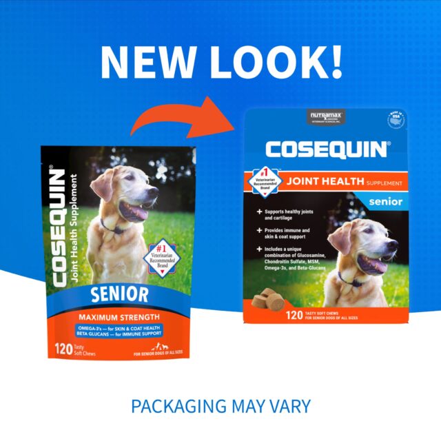 Nutramax Cosequin Senior Joint Health Supplement for Senior Dogs, 60 Soft Chews - Image 2