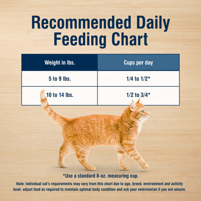 Blue Buffalo True Solutions Perfect Skin & Coat Natural Dry Food for Adult Cats, Salmon, 3.5-lb. Bag - Image 2