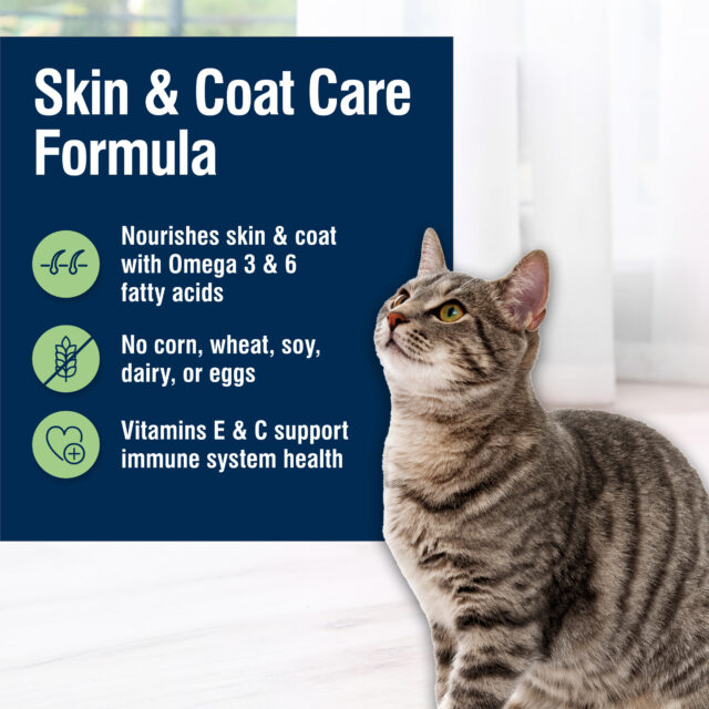 Blue Buffalo True Solutions Perfect Skin & Coat Natural Dry Food for Adult Cats, Salmon, 3.5-lb. Bag - Image 6