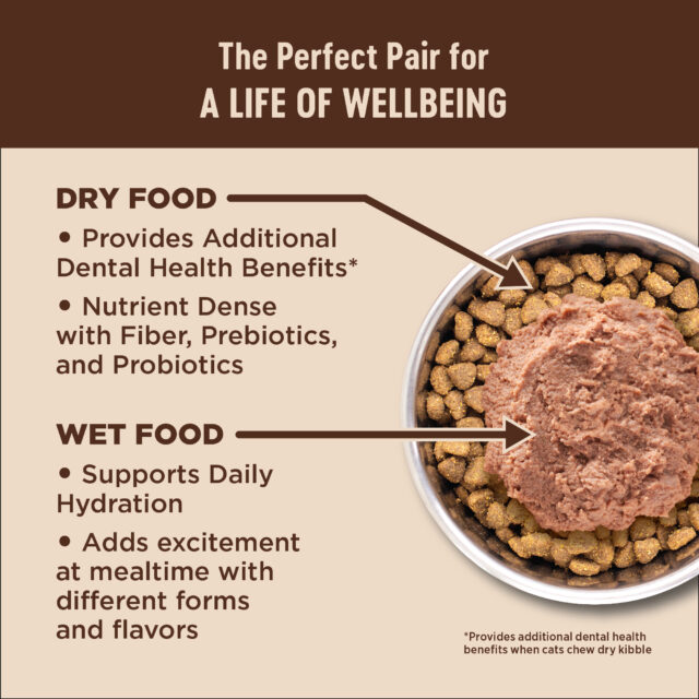 Wellness CORE Grain-Free Indoor Salmon & Herring Meal Recipe Dry Cat Food, 5 Pound Bag - Image 4
