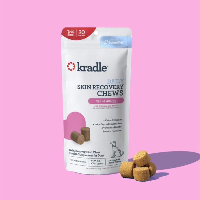 Kradle Calming Skin Recovery Soft Chews Dog Skin & Coat Support, Beef Liver Flavor, 30 Count - Image 6