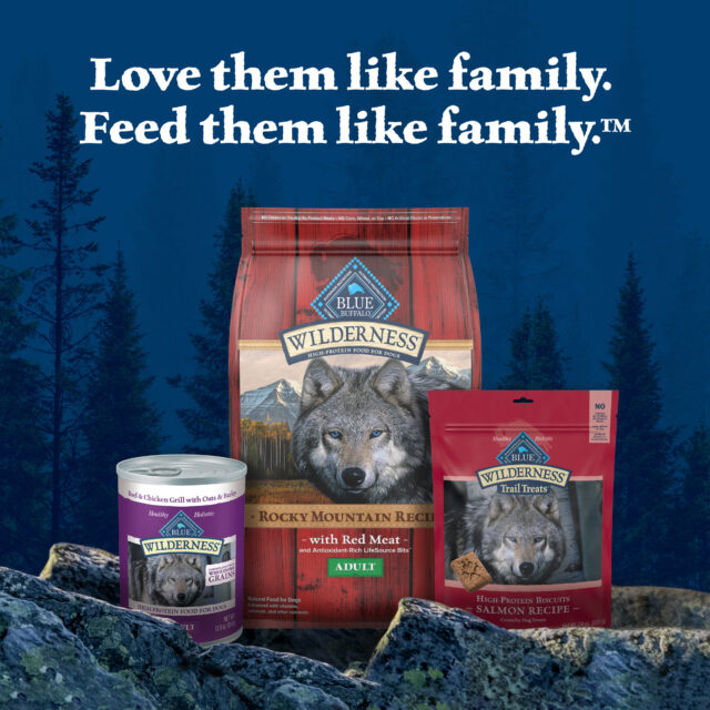 Blue Buffalo Wilderness Adult Wet Dog Food, Turkey & Chicken Grill, 12.5-oz. Can - Image 3