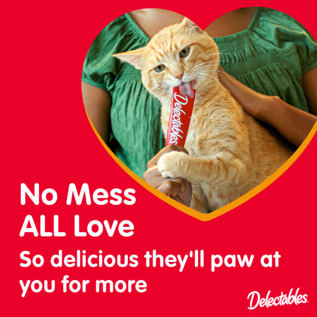 Hartz Delectables Squeeze Up Interactive Lickable Wet Cat Treats Variety Pack, 48 Count Jar - Image 3