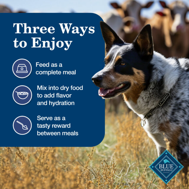 (3 pack) Blue Buffalo Homestyle Recipe Adult Wet Dog Food, Chicken Dinner, 12.5-oz. Can - Image 4