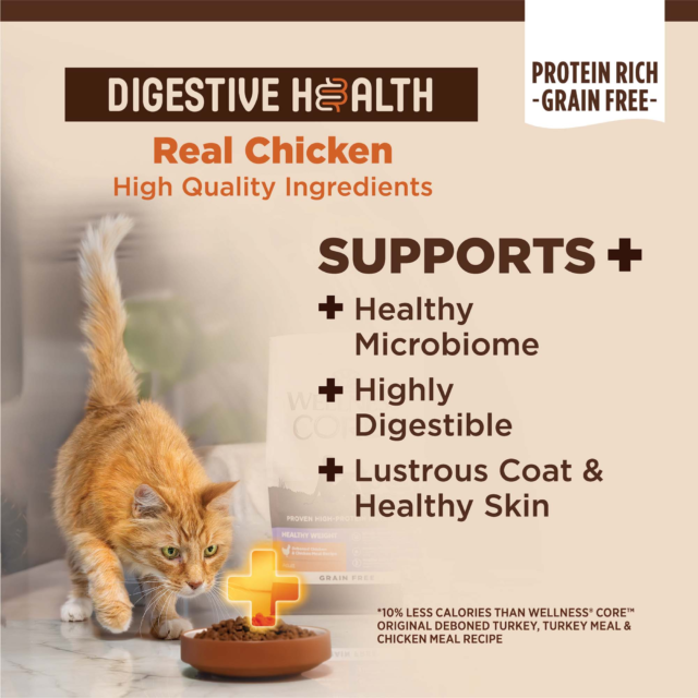 Wellness CORE+ Digestive Health Chicken & Rice Dry Cat Food, 5lb Bag - Image 5