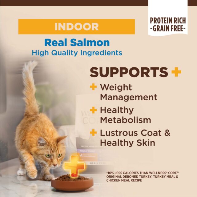 Wellness CORE Grain-Free Indoor Salmon & Herring Meal Recipe Dry Cat Food, 5 Pound Bag - Image 5