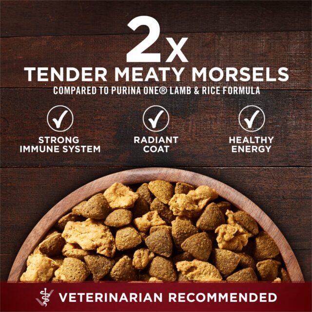 Purina ONE True Instinct With Real Salmon and Tuna Natural With Added Vitamins, Minerals and Nutrients High Protein Dog Food Dry Formula - Image 7