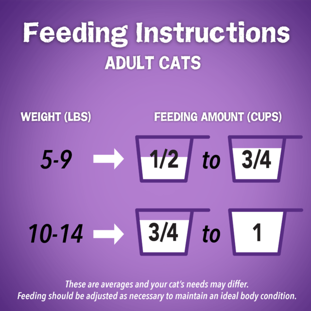 Purina Friskies Surfin' & Turfin', Indoor Dry Cat Food, Chicken, Whitefish, & Salmon, 16 lb Bag - Image 3