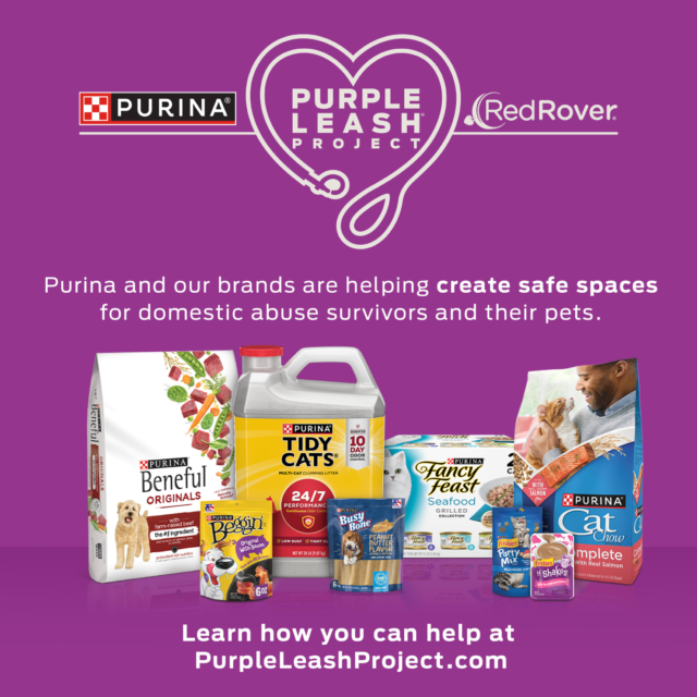 Purina Kitten ChowHealthy Development, Indoor Dry Kitten Food, Chicken - Image 2