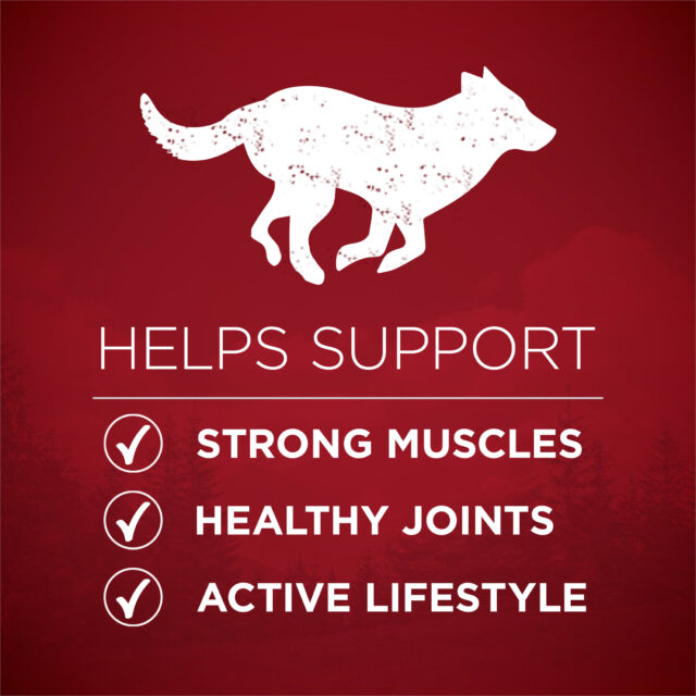 Purina ONE True Instinct With Real Salmon and Tuna Natural With Added Vitamins, Minerals and Nutrients High Protein Dog Food Dry Formula - Image 5