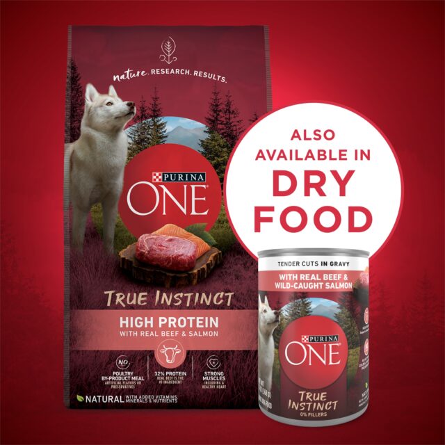 Purina ONE True Instinct Wet Dog Food, High Protein Soft Beef & Wild Caught Salmon, 13 oz can - Image 3