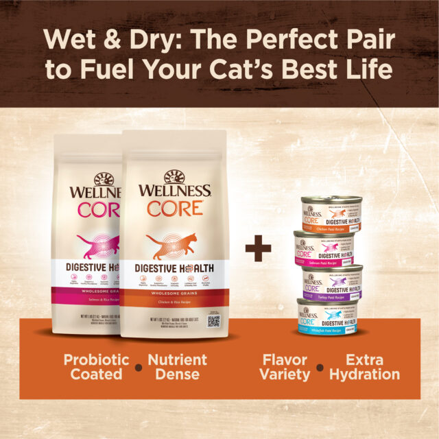 Wellness CORE Digestive Health Chicken Pate Wet Cat Food, 3 Ounce Can (Pack of 12)
