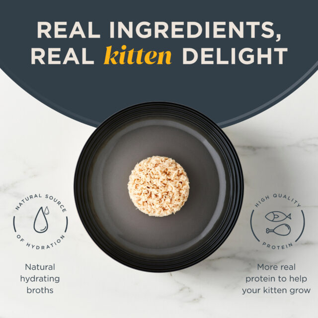 Reveal Natural Wet Kitten Food, Chicken Breast in Broth, 12 x 2.47oz Cans - Image 6