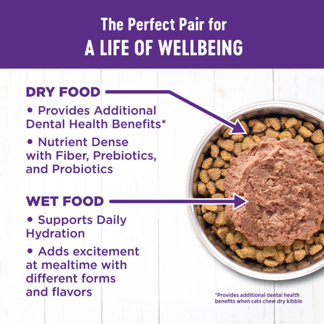 Wellness Complete Health Grain-Free Indoor Deboned Chicken Recipe Dry Cat Food - Image 4