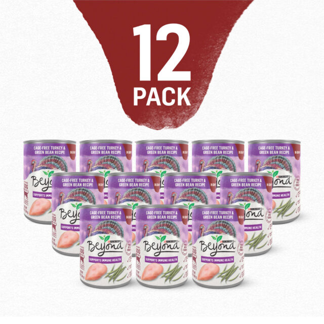 Purina Beyond Immune Health Wet Dog Food Natural Soft Turkey & Green Bean, 12.5 oz Can (12 Pack) - Image 9