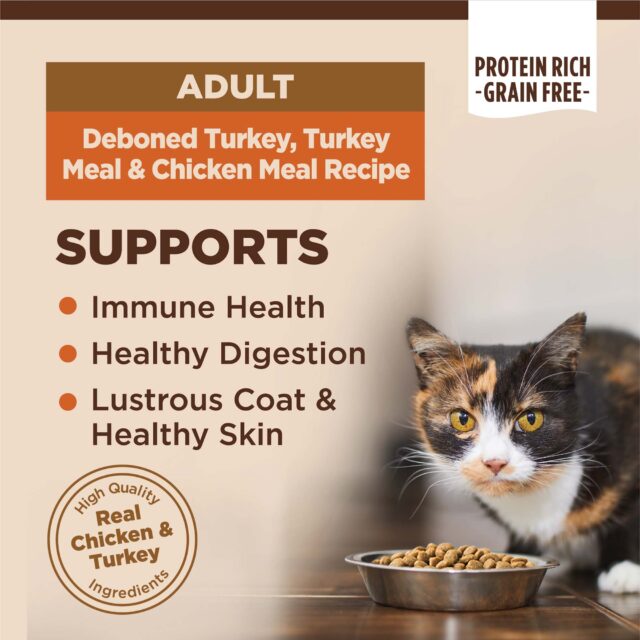 Wellness CORE Grain-Free Original Formula Dry Cat Food, 5 Pound Bag - Image 4