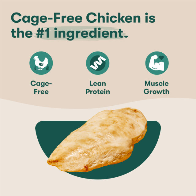 Jinx Cage-Free Chicken, Sweet Potato & Carrot Dry Dog Food, Grain Free, - Image 7