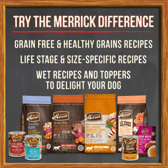 Merrick Grain Free Wet Dog Food for Adults, Real Beef, Lamb & Bison, 12.7 oz Cans (12 Pack) - Image 3
