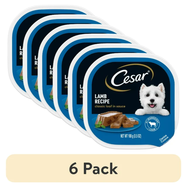 (6 pack) Cesar Classic Loaf In Sauce Lamb Recipe Wet Dog Food, 3.5 Oz