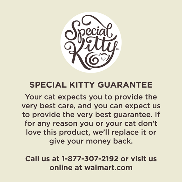 Special Kitty Complete Nutrition Chicken & Turkey Flavor Dry Cat Food, 16 lb Bag - Image 2