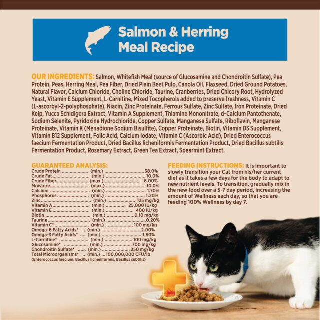 Wellness CORE Grain-Free Indoor Salmon & Herring Meal Recipe Dry Cat Food, 5 Pound Bag - Image 3