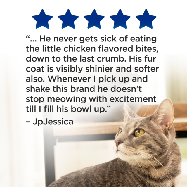 Purina Cat Chow Complete, Dry Cat Food, Chicken - Image 4