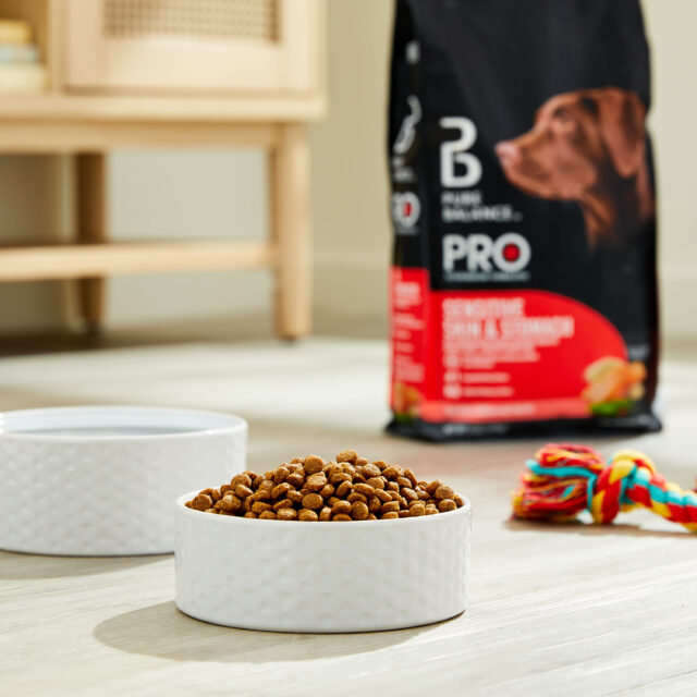 Pure Balance Pro+ Sensitive Skin & Stomach Dog Food, Salmon & Rice Recipe, 8 lb Bag - Image 9