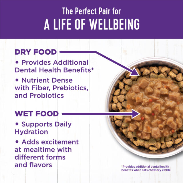 Wellness Complete Health Gravies Grain Free Canned Cat Food, Salmon Entree, 3 Ounces (Pack of 12) - Image 5