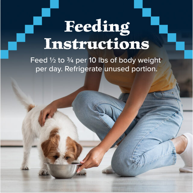 Blue Buffalo Wilderness Adult Wet Dog Food, Turkey & Chicken Grill, 12.5-oz. Can - Image 2