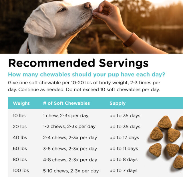 Nutri-Vet Pet-Ease Soft Chews for Dogs - Vet Formulated with Chamomile and Tryptophan to Soothe and Calm Dogs -6.0 oz - Image 3